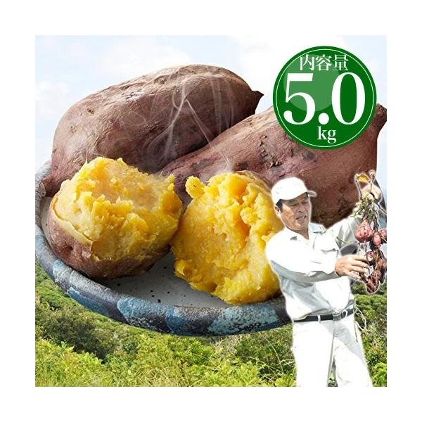 セール中!!】さつまいも 安納芋 種子島産 送料無料 訳あり 無 セール中!!】さつまいも 安納芋 種子島産 送料無料 訳あり 無