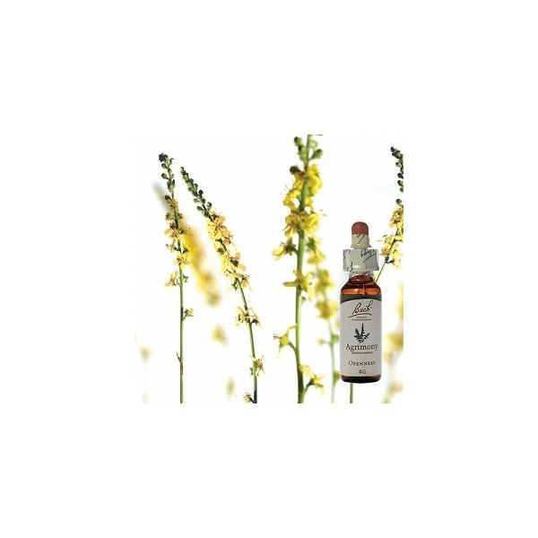 内容量・成分原材料10ml /アグリモニー、水、グリセリン /ノンアルコール▼飲んだ後に期待される状態心から喜びと幸せをかんじられるようになります。マイナス感情と向き合って、問題を成長の糧にそれを乗り越えられるようになってきます。