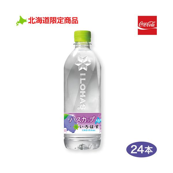 RJ R[ ͂nXJbv 540ml 2P[X 48{PET kC ILOHAS