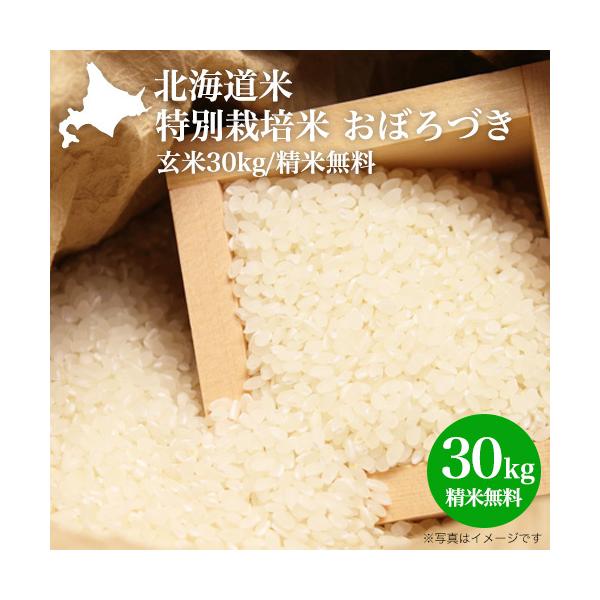 憧れ ④ 美味しいお米 玄米 新米 きぬひかり 令和3年 ◇完全無農薬 30キロ - 米 憧れ ④ 美味しいお米 玄米 新米 きぬひかり 令和3年 ◇完全無農薬 30キロ - 米