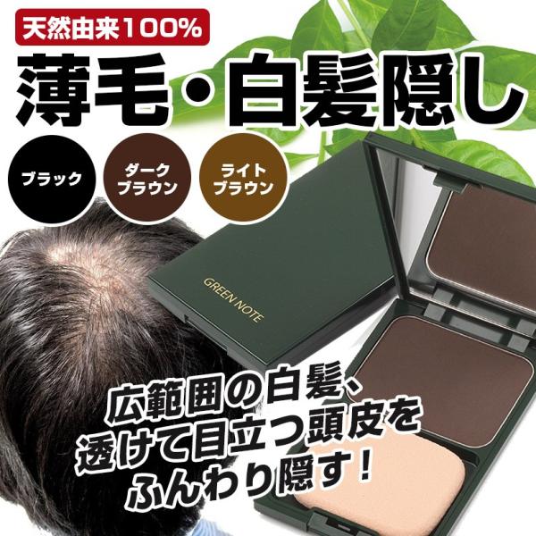 白髪 隠し 薄毛 隠し ヘアカラー ファンデーション ケース付き グリーンノート ファンデーションタイプ Buyee Buyee Jasa Perwakilan Pembelian Barang Online Di Jepang