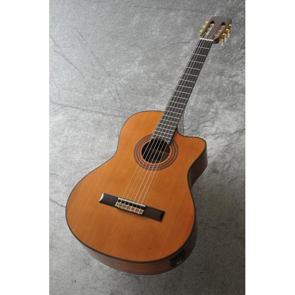 アリア Basic Electric Cutaway A-35CE (アコースティックギター) 価格 