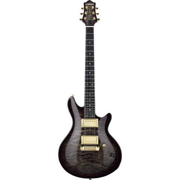 ESP ESP ARTIST SERIES 葵 the GazettE A-I [arc] 艶～en～ [Black 