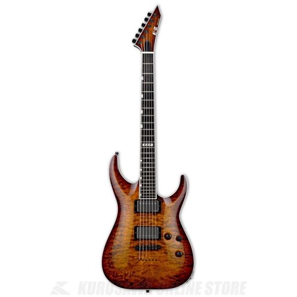 E-II HORIZON NT-II TESB EMG(Tiger Eye Sunburst)(GLM^[)(󒍐Yi)yONLINE STOREz