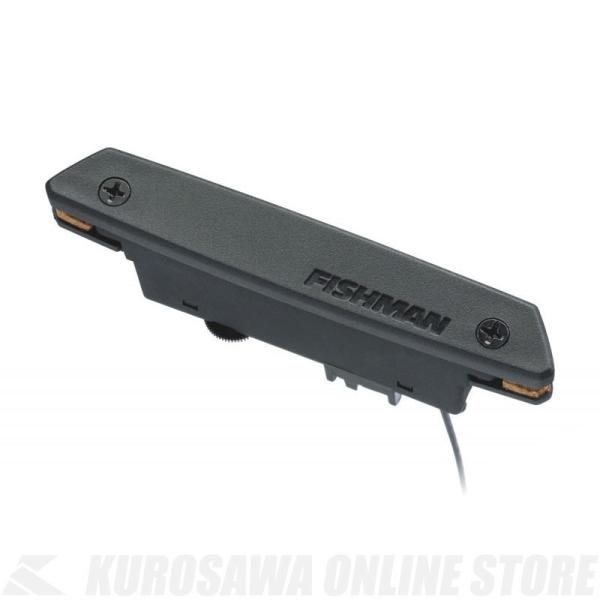 Fishman Rare Earth Magnetic Soundhole Pickup (Humbucking) [PRO-REP-102] (AR[XeBbNM^[psbNAbv)