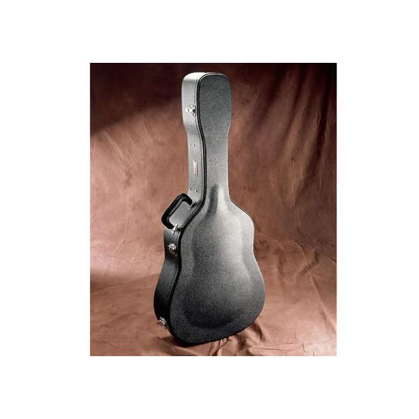 GATOR GW-DREAD ؐM^[P[X hbhm[gp()