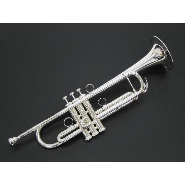 Brasspire Unicorn BPTR-750SS(Vo[p[cdl Bgybg)(gybgZbgt)()(ʑv[g)(󒍐Y)