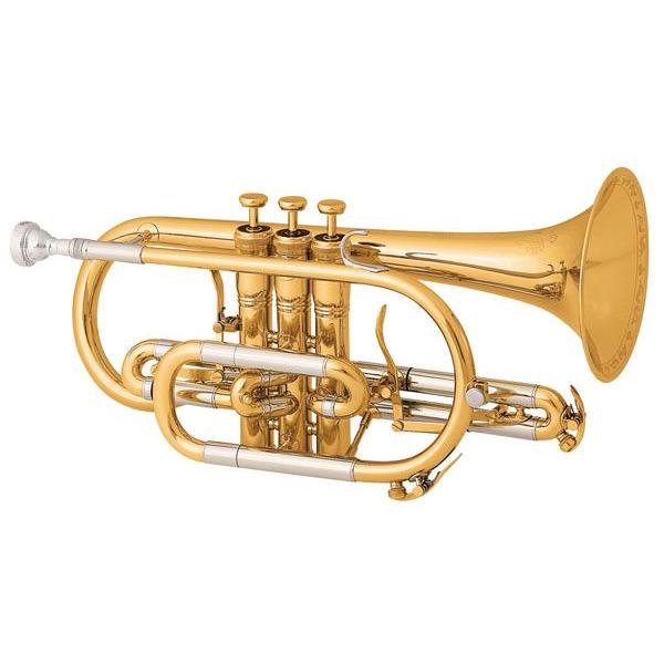 【安心の調整＆発送】通信販売でお求めの際は、すべて検品・調整後に発送致しますので、届いてすぐに演奏していただけます。厳重・丁寧な梱包で、保険付での配送になりますので、安心してお求めください。ショートタイプ調子：B♭ボア：11.73mm仕上げ...