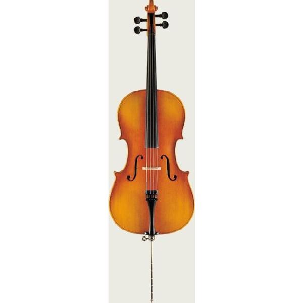 SUZUKI チェロ　バイオリン NO.73 サイズ1/10 期間限定！ポイントアップ！》Suzuki スズキ Cello チェロ No.73 1/10