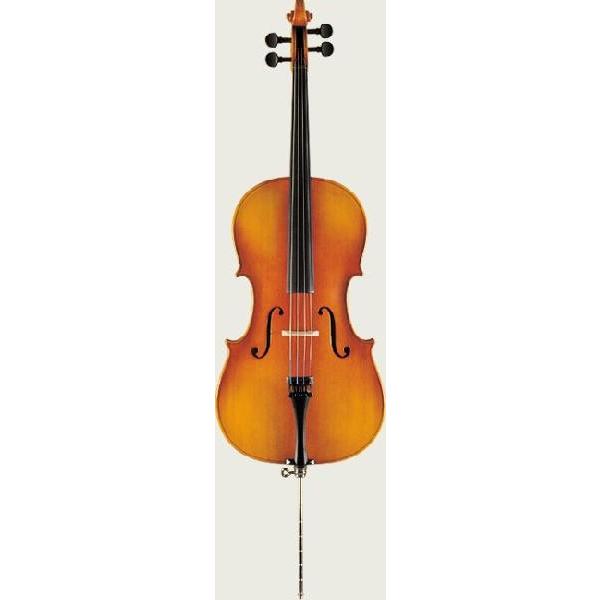 sԌI|CgAbvItSuzuki XYL Cello `F No.73 1/8(}X[v[g)i񂹁j