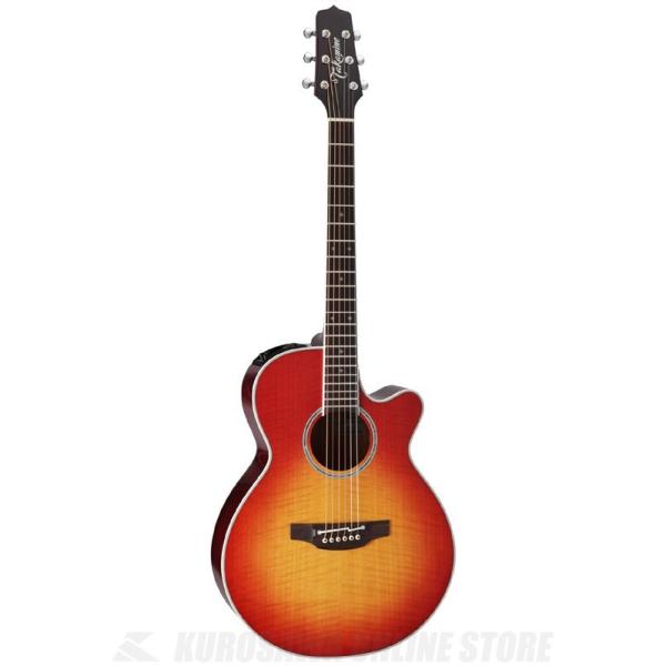 タカミネ 100シリーズ PTU121C [FCB] (アコースティックギター) 価格 