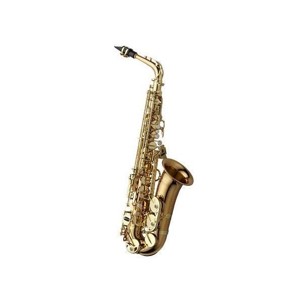 Yanagisawa ヤナギサワ アルトサックス A-WO2 (アルトサックス小物
