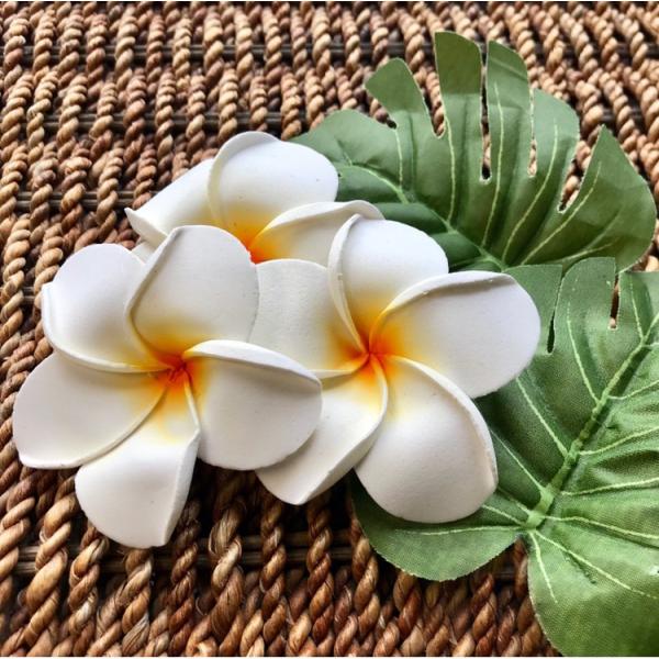 honualoha-hawaii_plumeria-haircrip