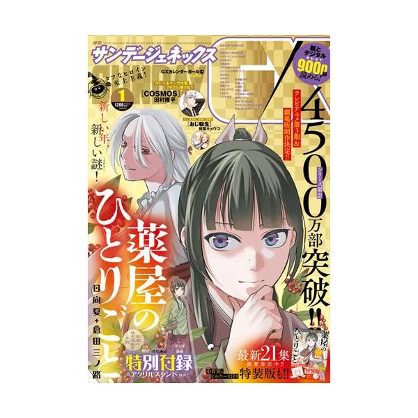 ●サンデーgx 2010年 1〜12月号 月刊 サンデーGX 12月号 | 雑誌 | 小学館