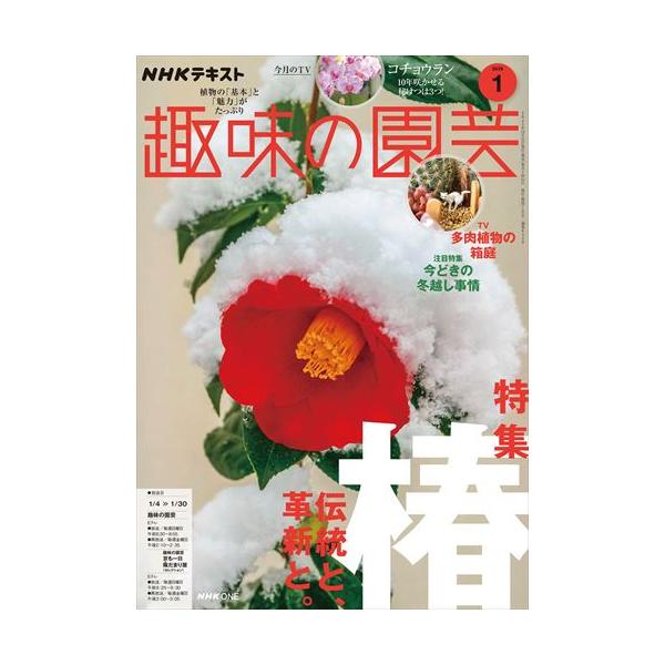 出版社名：ＮＨＫ出版発行年月：20251219雑誌コード：06457キーワード：エヌエイチケー　シュミノエンゲイ