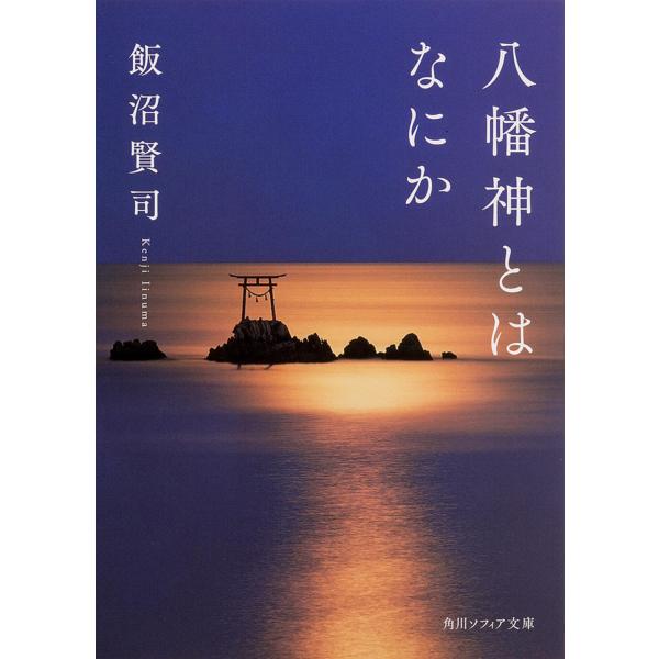 八幡神とはなにか/飯沼賢司