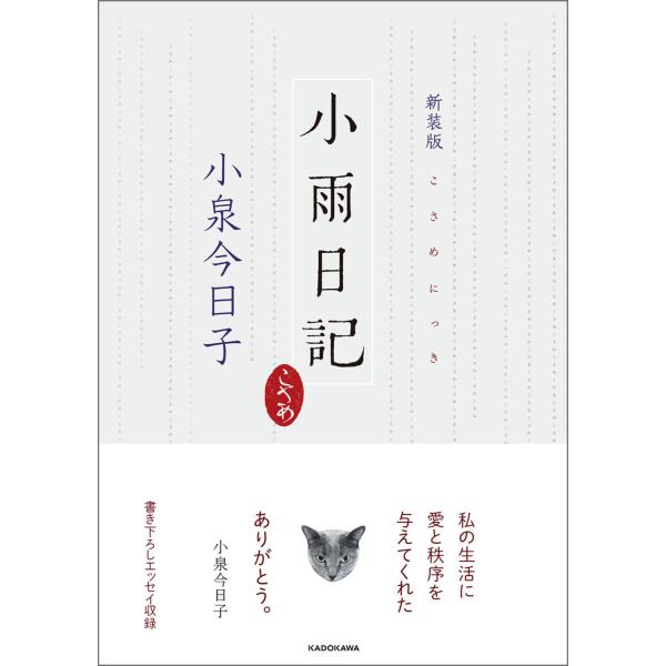出版社名：ＫＡＤＯＫＡＷＡ著者名：小泉今日子発行年月：2026年01月版：新装版キーワード：コサメ ニッキ*KOSAME DIARY、コイズミ,キョウコ