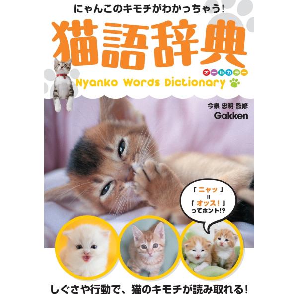 出版社名：Ｇａｋｋｅｎ著者名：今泉忠明発行年月：2024年09月キーワード：ネコゴ ジテン オール カラー、イマイズミ,タダアキ