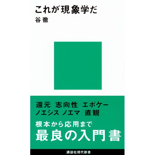 翌日発送・これが現象学だ/谷徹