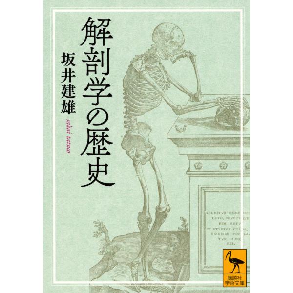 翌日発送・解剖学の歴史/坂井建雄