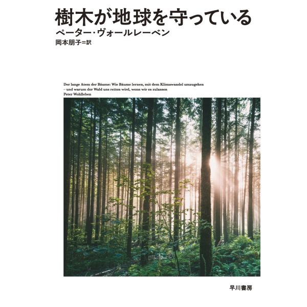 翌日発送・樹木が地球を守っている/ペーター・ヴォールレ