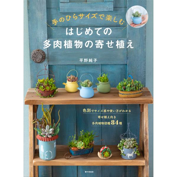 翌日発送・はじめての多肉植物の寄せ植え/平野純子