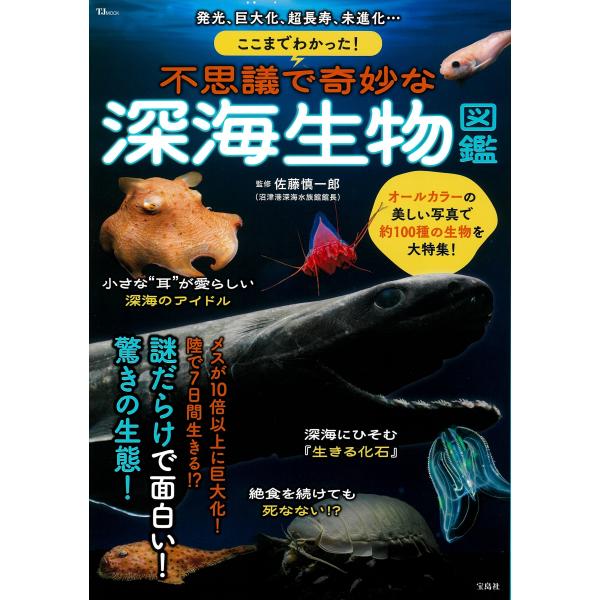 出版社名：宝島社著者名：佐藤慎一郎シリーズ名：ＴＪ　ＭＯＯＫ発行年月：2025年09月キーワード：ココマデ ワカッタ フシギ デ キミョウナ シンカイ セイブツ ズカン、サトウ,シンイチロウ