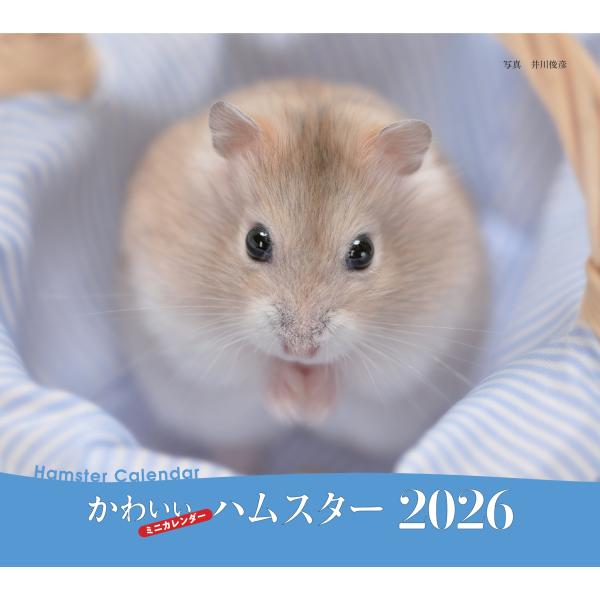 出版社名：誠文堂新光社著者名：井川俊彦シリーズ名：［カレンダー］発行年月：2025年09月キーワード：カワイイ ハムスター カレンダー、イガワ,トシヒコ