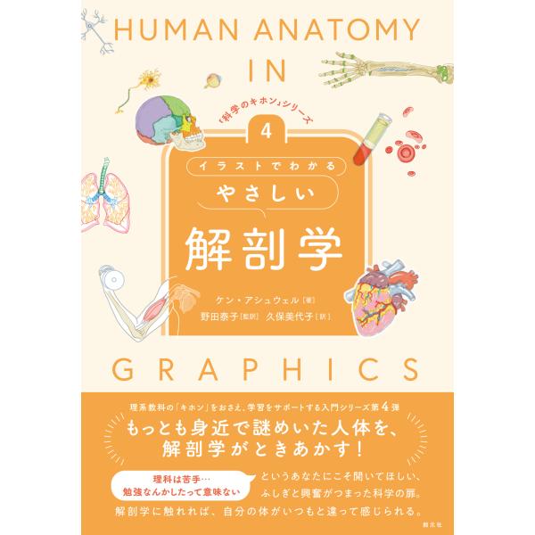 翌日発送・イラストでわかるやさしい解剖学/ケン・アシュウェル