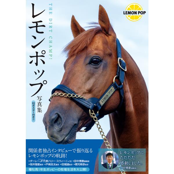 翌日発送・レモンポップ写真集　ＴＨＥ　ＤＩＲＴ　ＣＨＡＭＰ！/ダーレー・ジャパン