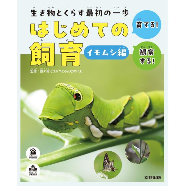 翌日発送・生き物とくらす最初の一歩 はじめての飼育 イモムシ編/霞ケ浦どうぶつとみん
