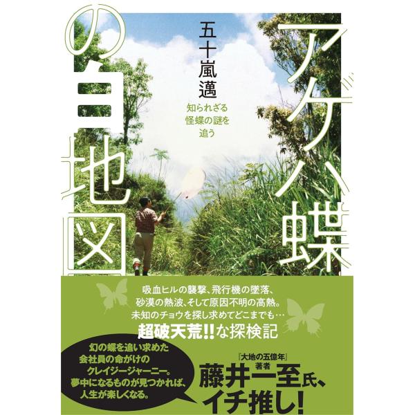 翌日発送・アゲハ蝶の白地図/五十嵐邁