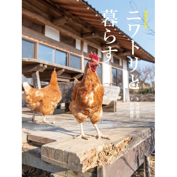 翌日発送・ニワトリと暮らす 増補改訂版/和田義弥