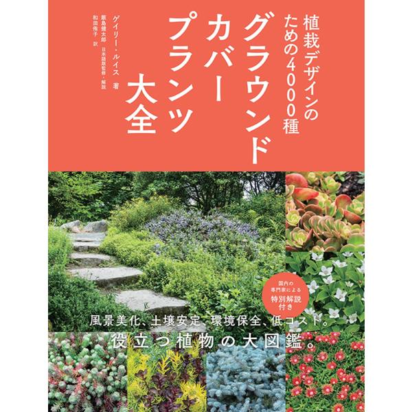 翌日発送・グラウンドカバープランツ大全/ゲイリー・ルイス
