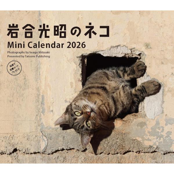 出版社名：辰巳出版著者名：岩合光昭シリーズ名：［カレンダー］発行年月：2025年09月キーワード：ミニ カレンダー イワゴウ ミツアキ ノ ネコ、イワゴウ,ミツアキ