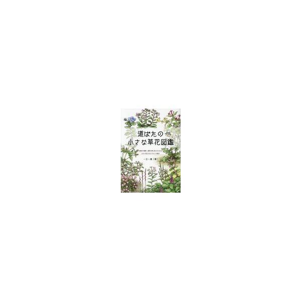 翌日発送・道ばたの小さな草花図鑑/一日一種