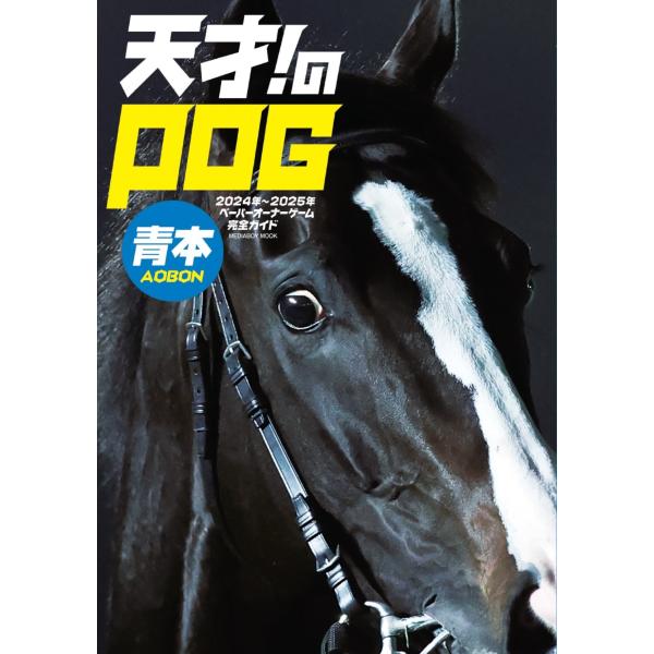 翌日発送・天才！のＰＯＧ青本 ２０２４ー２０２５