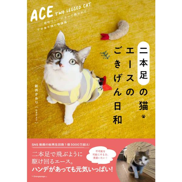 翌日発送・二本足の猫・エースのごきげん日和/新井かおり