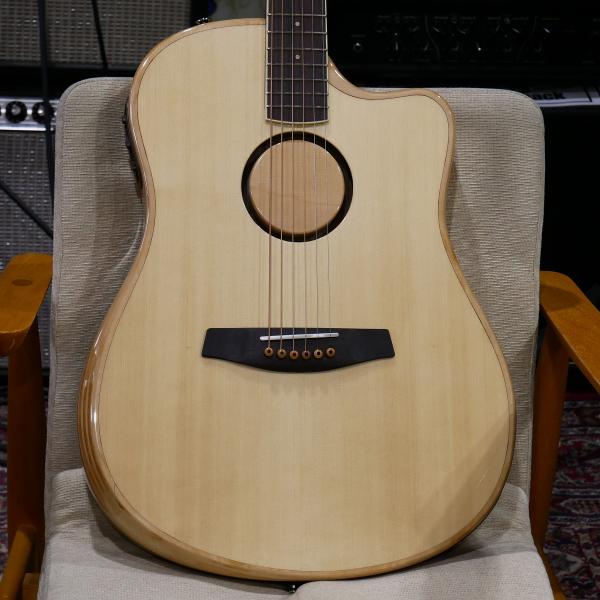 L.R.Baggs / AEG-1 / Engelmann Spruce / Natural  / Acoustic Electric Guitar / エレアコ / サイドパーク店
