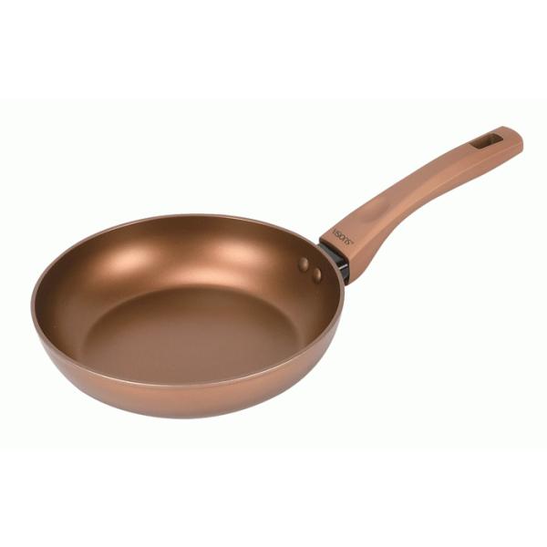 VISIONS�i�r�W�����jGOLD�@Coatinng�@IH�Ή��t���C�p��20�����@CP-8811