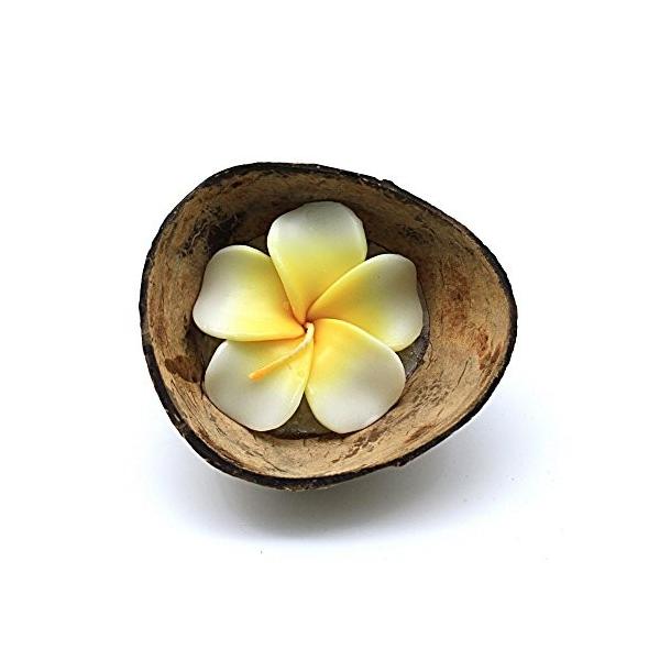 ハワイルアウパーティーレアルココナッツハーフシェルキャンドルホルダー花プルメイラ香りのキャンドルホワイト Seniorconnections
