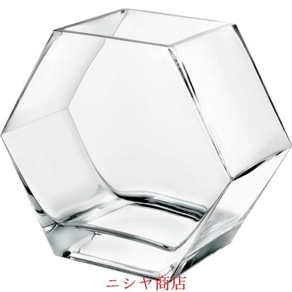 金魚鉢 水槽 容量約4.2リットル 小シンク 苔テラリウム 六角形ボディ おしゃれガラス めだかシンク 金魚 飼育セット 水耕栽培用スタンド付き メダカ水槽 室内花