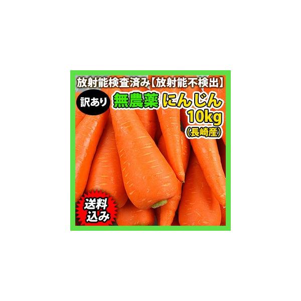 人参 10kg 無農薬 送料無料 訳ありにんじん 春にんじん ジュース用ニンジン 冷蔵温便 Buyee Buyee Jasa Perwakilan Pembelian Barang Online Di Jepang