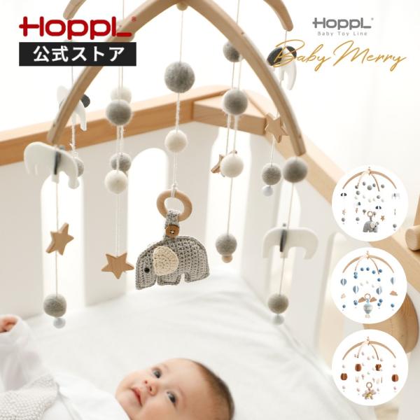 hoppl_btl-bm