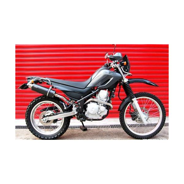 }t[  BEAMS r[X }t[ Z[250 DG11J SS300J[{ B216-08-003