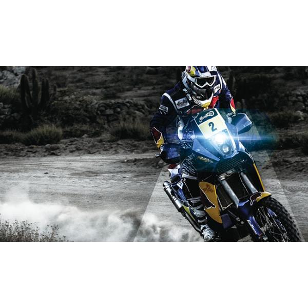 horidashi_4652-4653_4_d_20231204144457