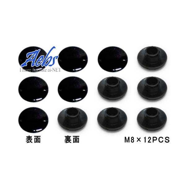 ݌ɗL Aebs(G[rX) M8 hXAbv\Pbg{gLbv 12PCS z[vO ubN aiNET({gLbv {gJo[ NW)