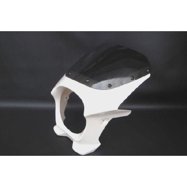 r[œT (ZRX1100) rLjJE /zCg (X^_[hXN[) 180pC ėp