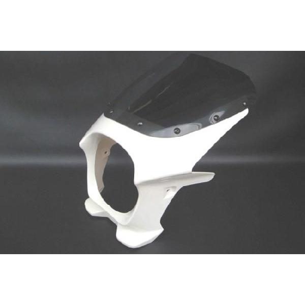 (ZRX1100) rLjJE /zCg (GAXN[) 180pC ėp