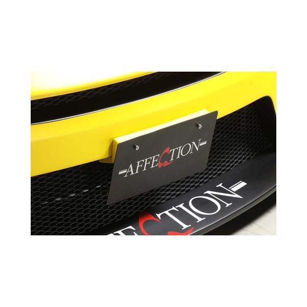 AtFNV Ft@CA 20n ANH20 GGH20 ANH25 GGH25 tgv[gA^b`g h AFFECTION ULTIMATE KAIZER AeBbg JCU[